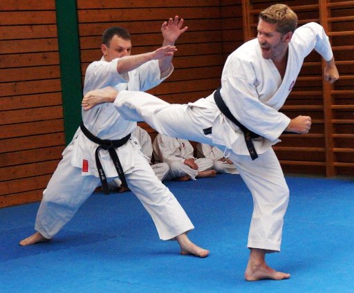 DSC03698 (Large).JPG